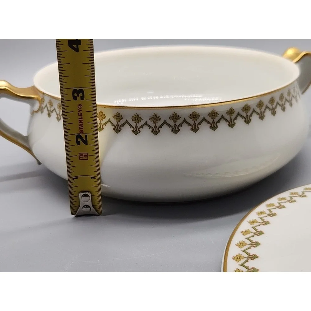 Haviland & Co. LIMOGES Round Covered Vegetable Serving Bowl France Schleiger